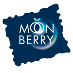 Логотип Moonberry