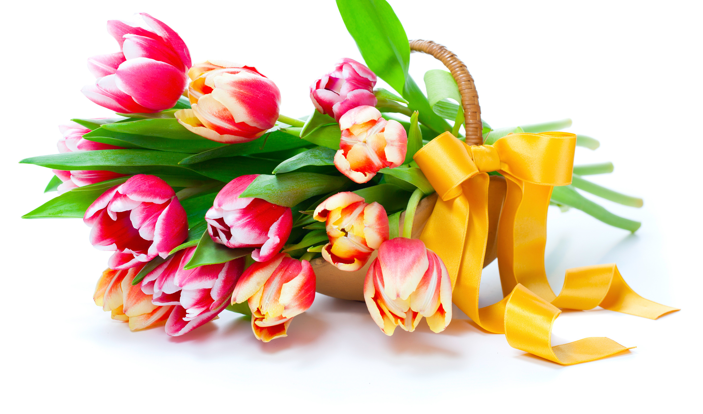 Поздравление с праздником с цветами. Весенний букет. Букет тюльпанов. Букет тюльпанов на белом фоне.